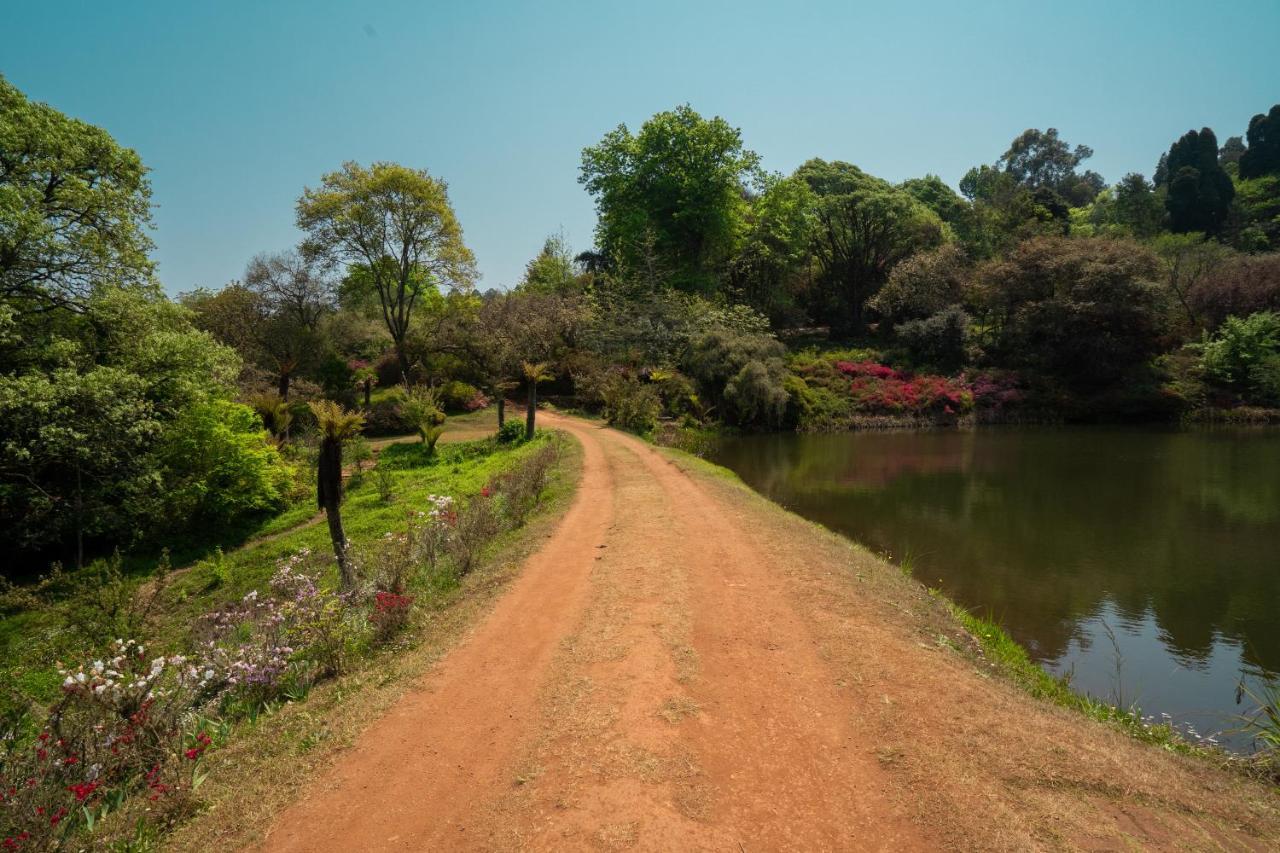 Villa Africamps Magoebaskloof Extérieur photo